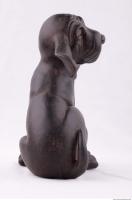 Photo Reference of Interior Decorative Dog Statue 0003